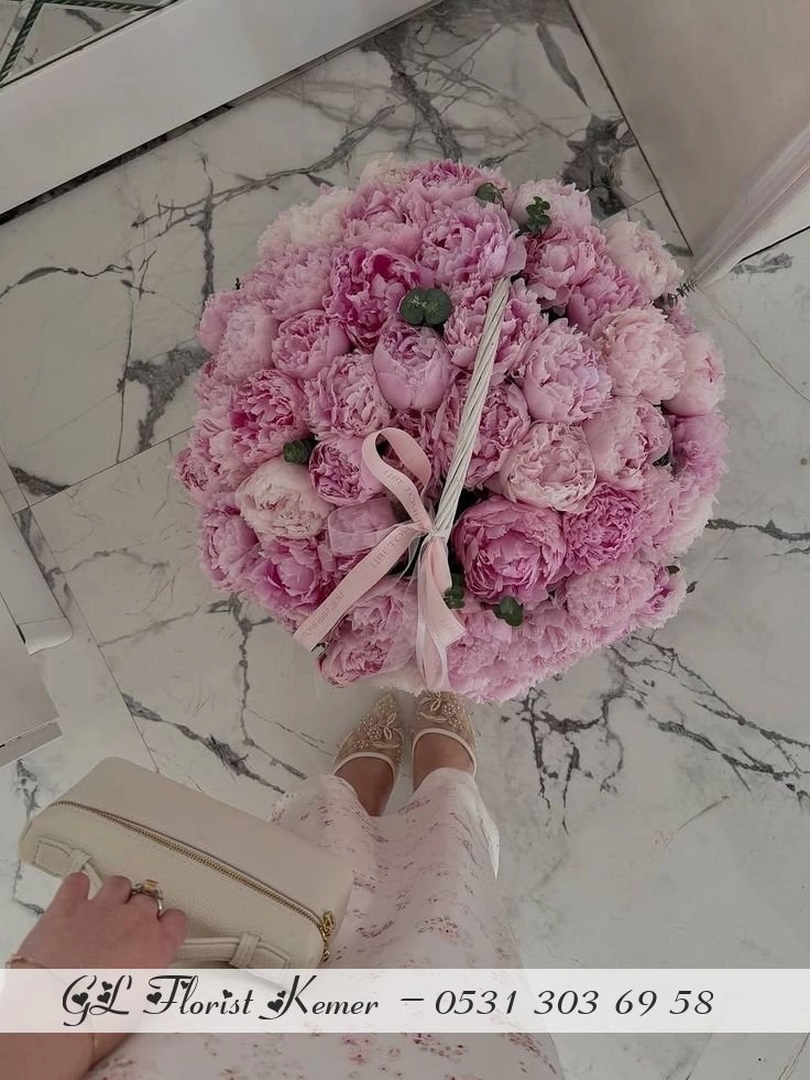 Kemer Peony 51
