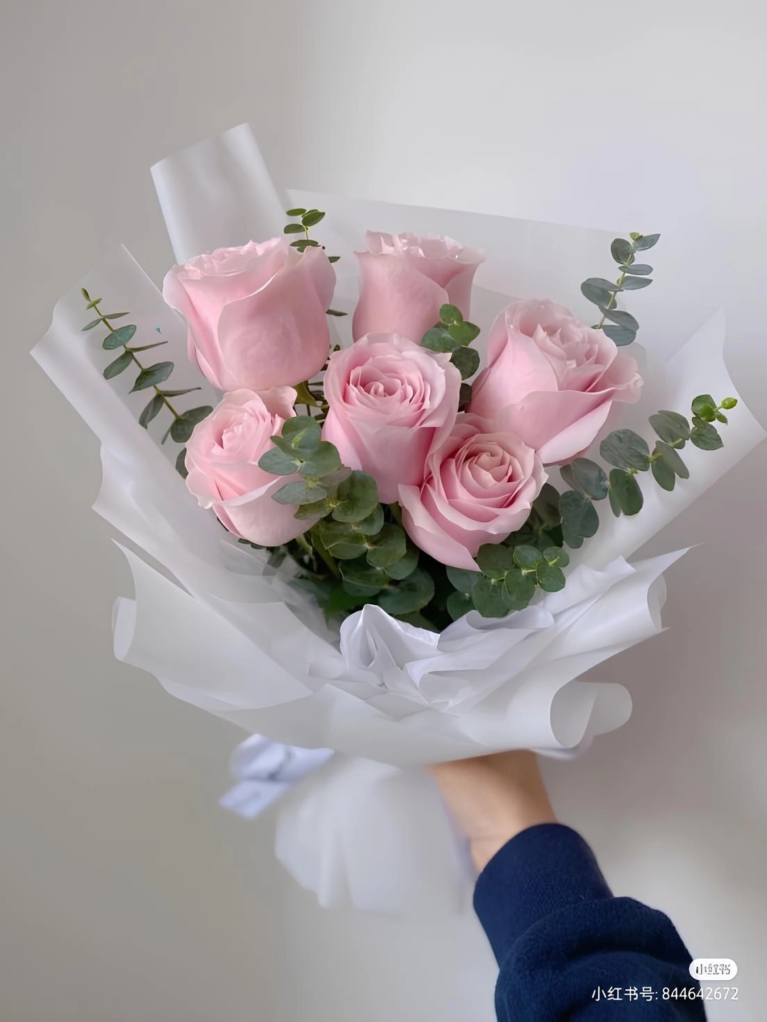 Pink Rose